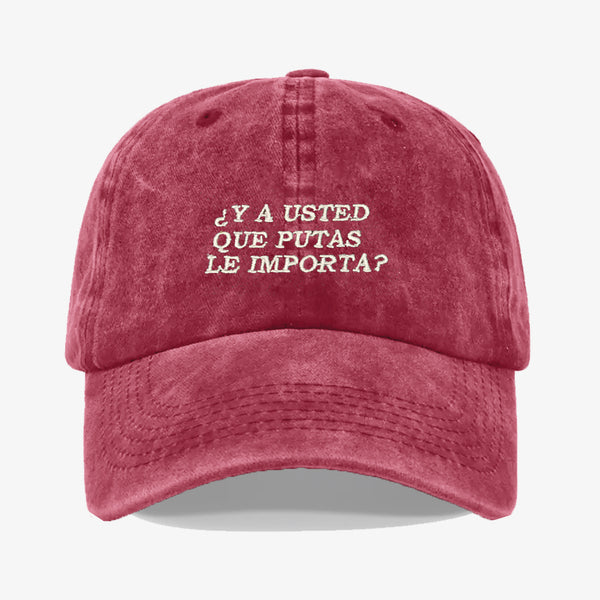 Gorra Prelavada Y Usted Que Putas Le Importa
