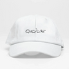 Dinosaurios-Dad Hat