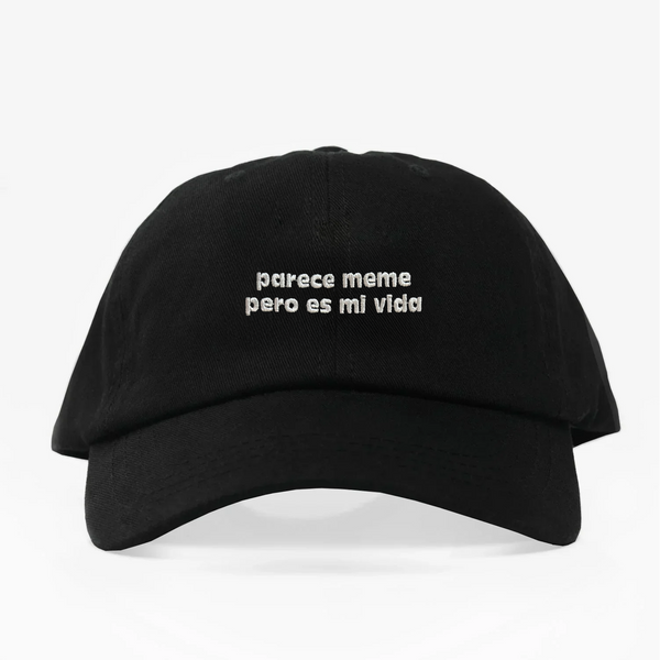 Parece meme-Dad Hat