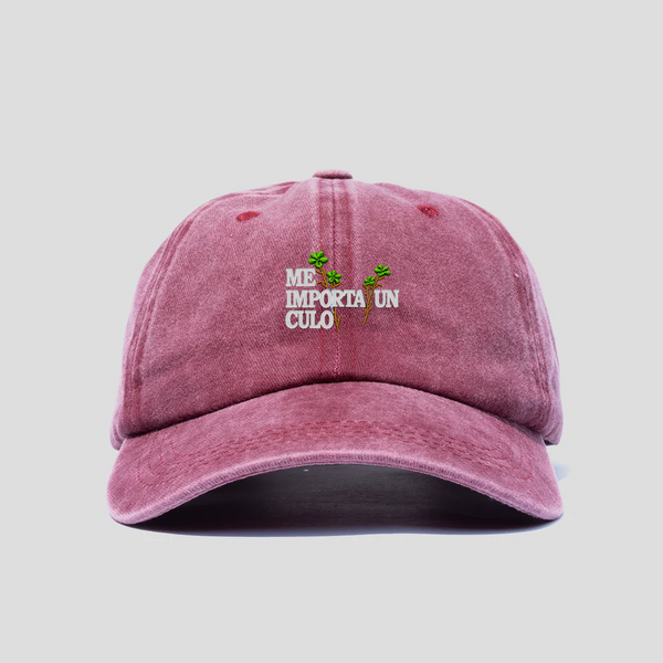 Gorra Prelavada Me importa un c***