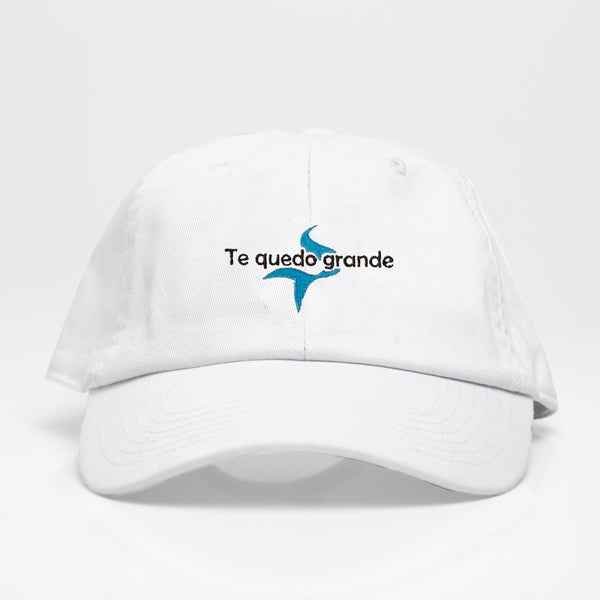 Te quedo grandeDad Hat