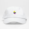 Colombia Mapa - Dad Hat