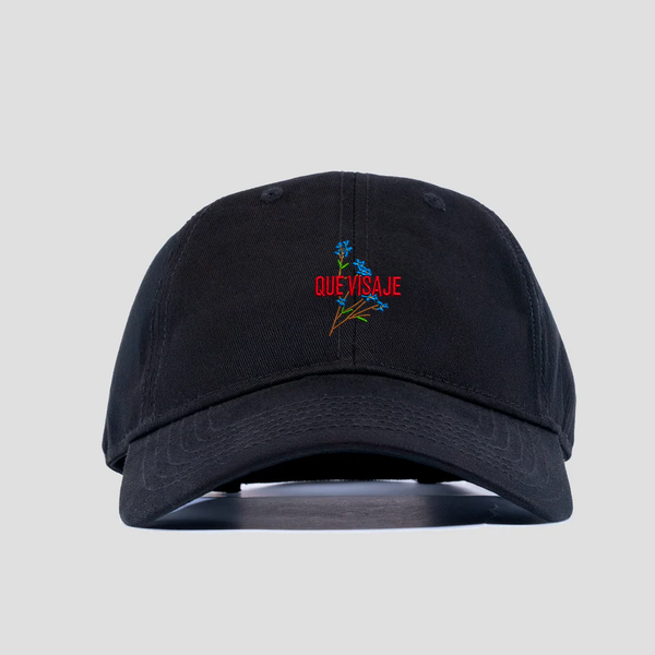 Dad Hat - Que visaje