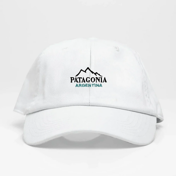 Patagonia -Dad Hat