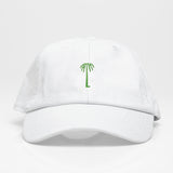 Palm  🌴Dad Hat
