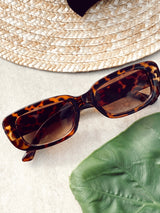 Roma-Leopardo